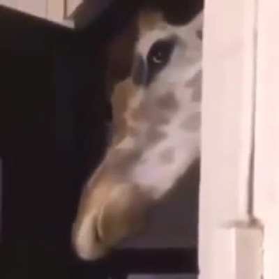 Creepy