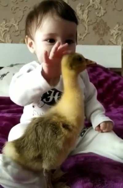 Gentle