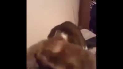 I had to add it to this video