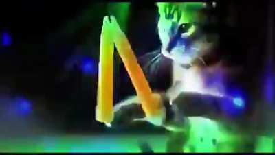 Cat disco extended