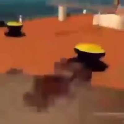 e🅱️ic amogus edit