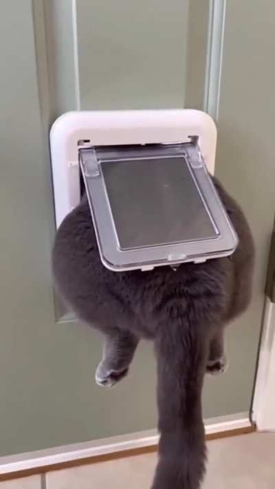 Застр<wbr>яль