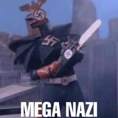 Mega nasi