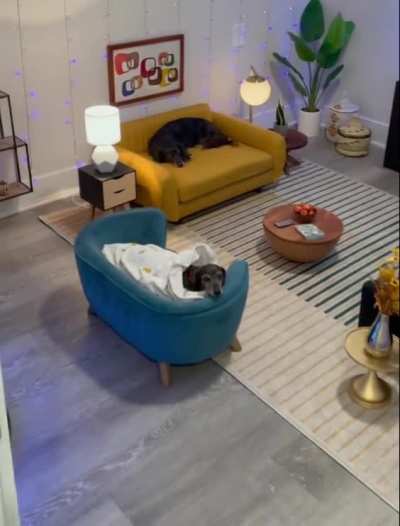 Tiny doggo world