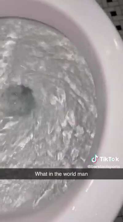 Bye