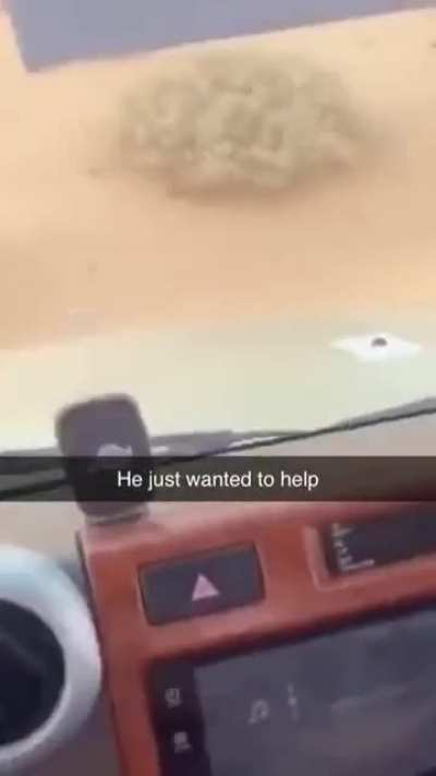 off he goes