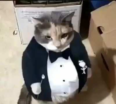 So seductive