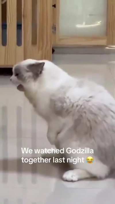 i am so scared of the little goober