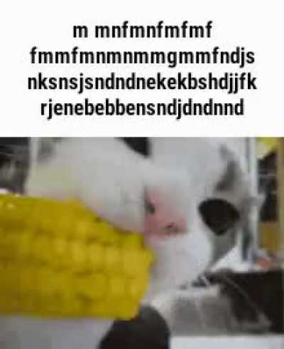 rule