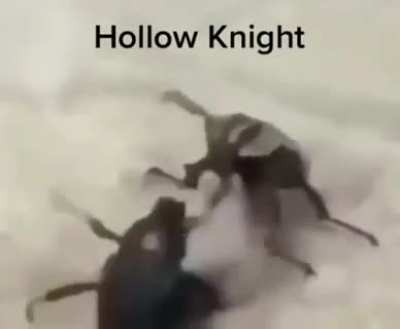 10/10 game