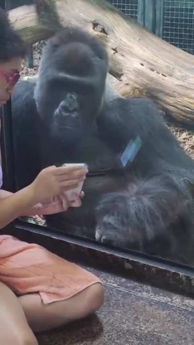 Monke chad