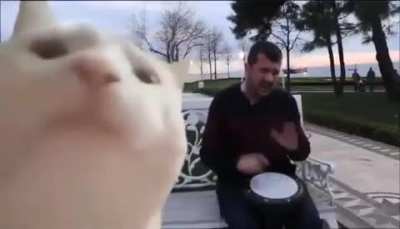 Dad: 