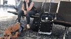 Service dog senses and responds to owner's oncoming panic attack.