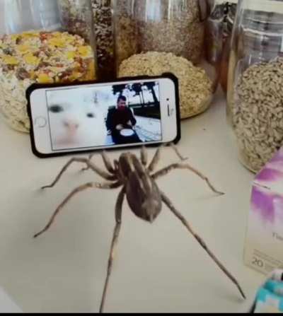 Ryan will like this