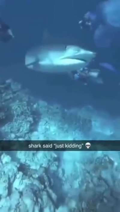 Hah! Gotcha…