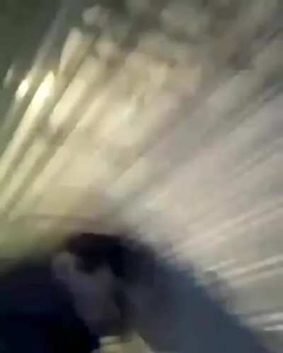 Puta