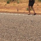Only In Australia