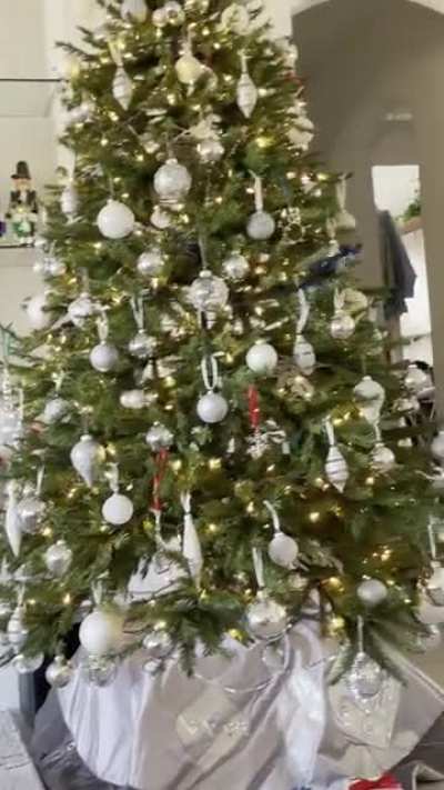 Drone meet tree