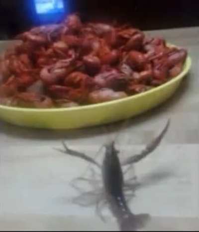 fallen bretherens