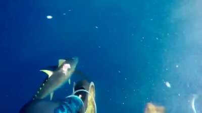 Epic fishing