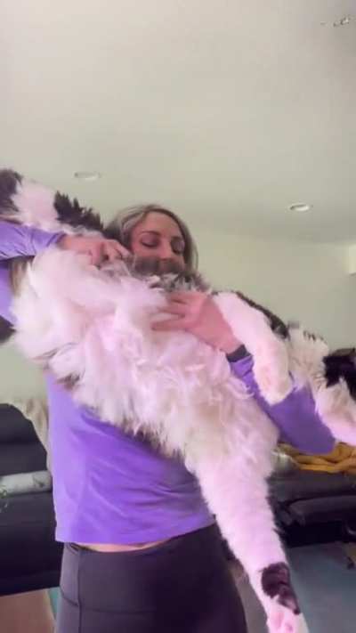 Oh you got a cat