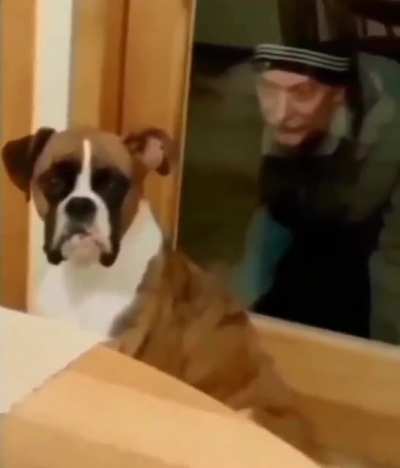 Surprise