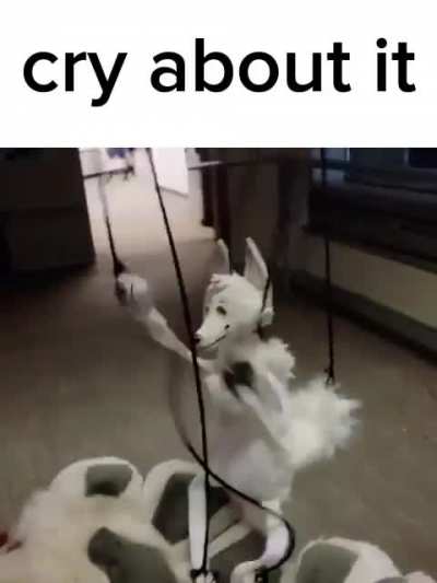 furry_irl