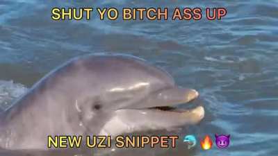 Uzi I know you see this, put this on the next album we need it 😈🐬