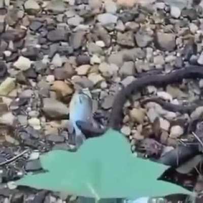 Well that's one way to save it.