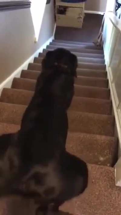That's one way to get down