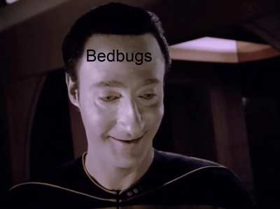 Don't let the bedbugs bite!