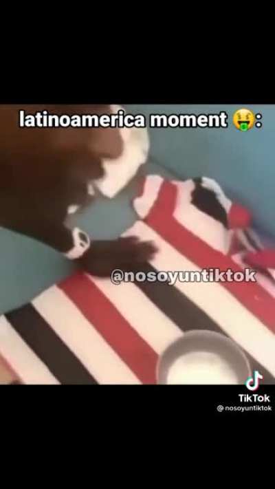 Saudades da época que o muquinha comia barro 😭😭