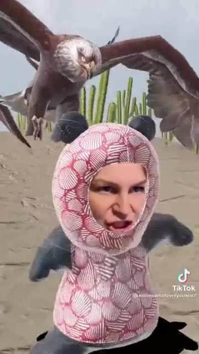 Unexplainably, my new favorite TikTok