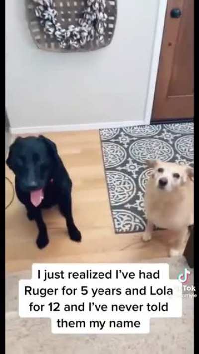 The look