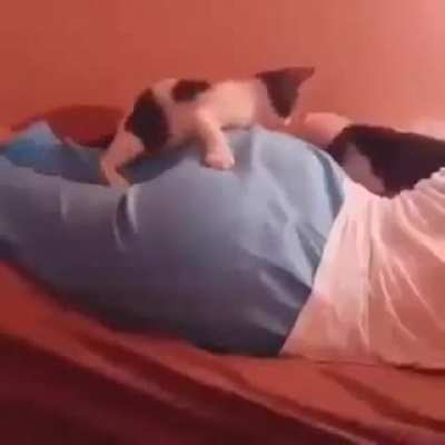 Thanks, I hate cats