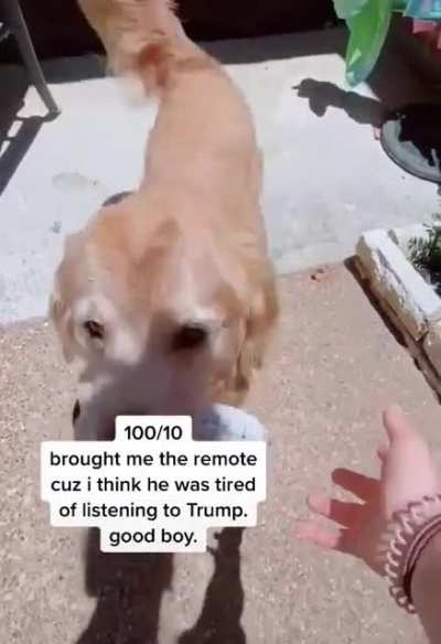 Good senior boi