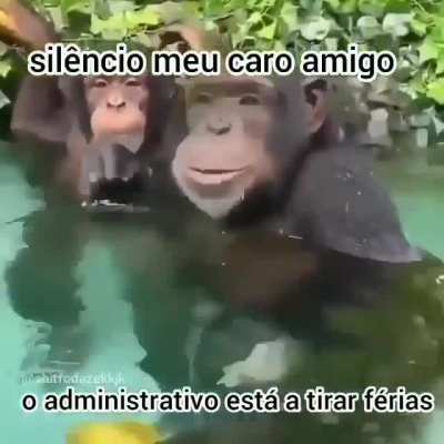 Ademir de folga