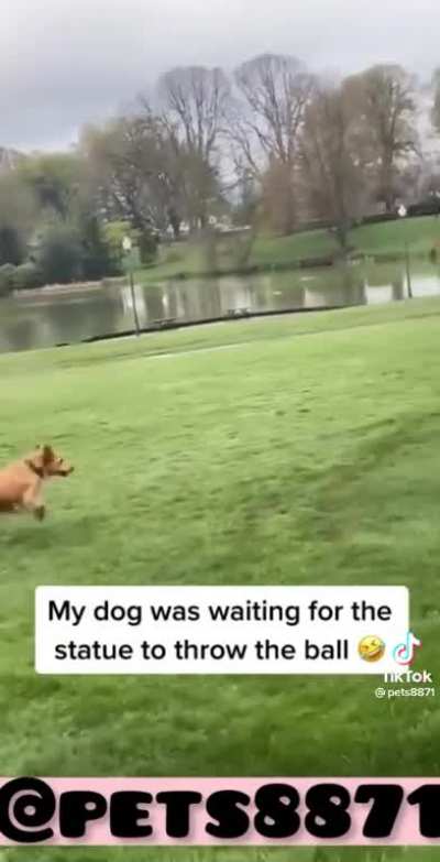 Throw it already!