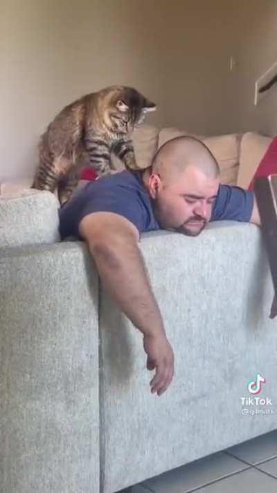 I’m a dog person…but this? Think I want a cat now