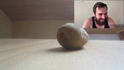 matto reacts