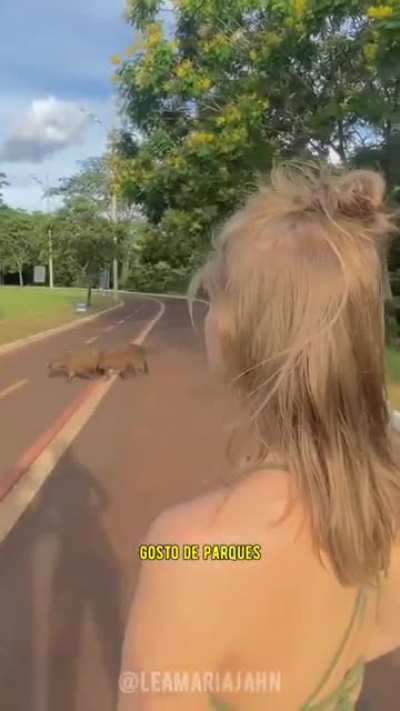 Me intriga o amor que estrangeiros sentem pelo país; o brasileiro quando vive fora não parece demonstrar o mesmo.