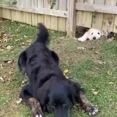 Best friends