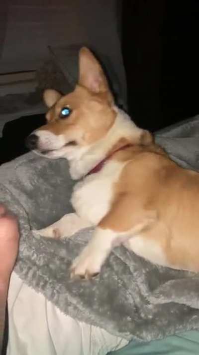 No Boops for you!