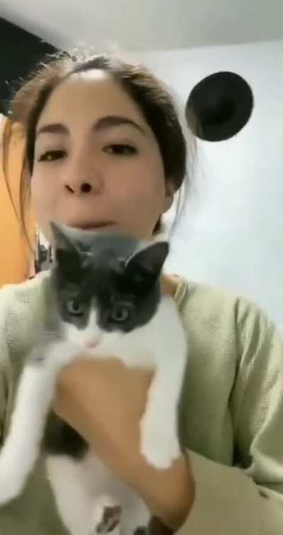 Watch Cat Meow Inside