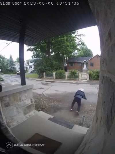 To dodge a cat