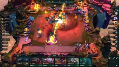 Golden squid exterminates some rats