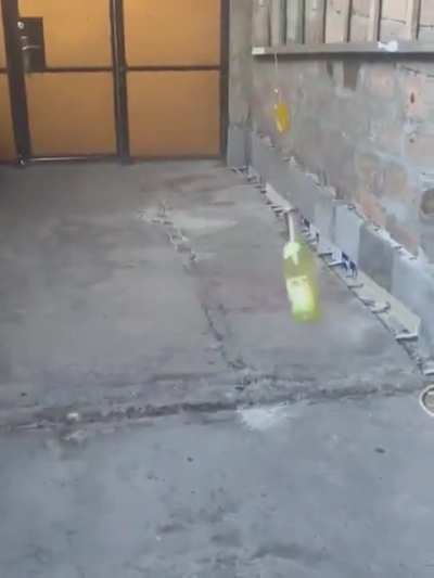 Maybe Maybe Maybe