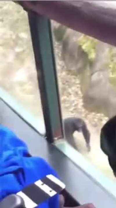 That poor woman