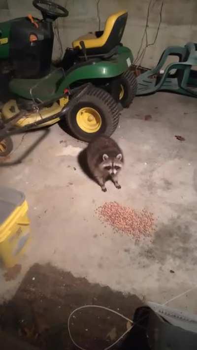 He likes reeses puffs
