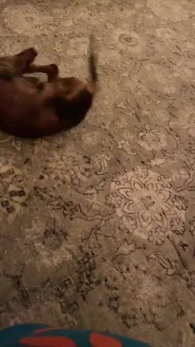 We call this the “cashew dance”